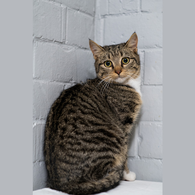 Photo of Larry