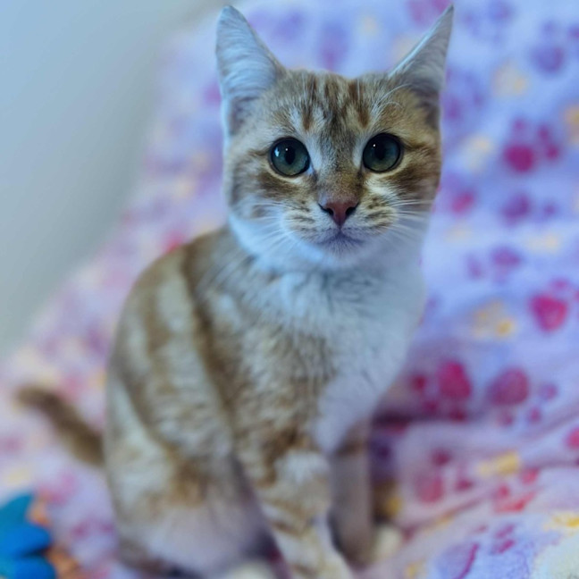 Photo of Rupert   In Foster Care In Doreen