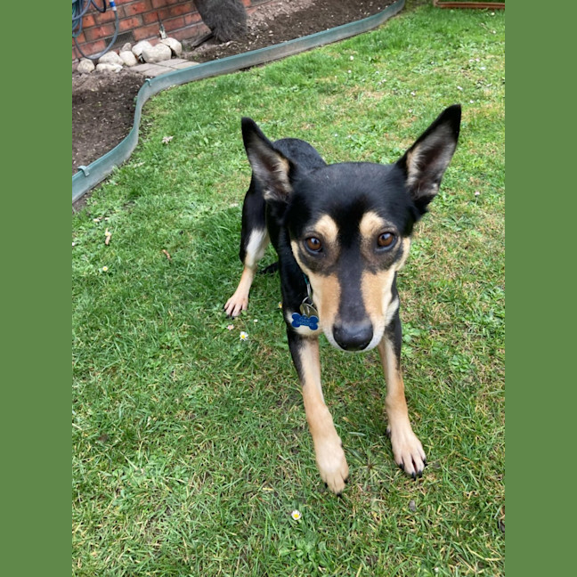 Photo of Toxi