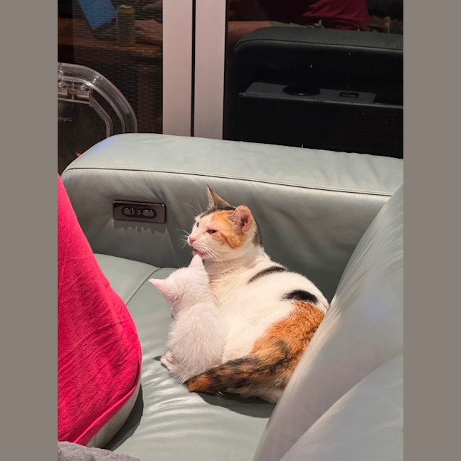 Photo of Molly