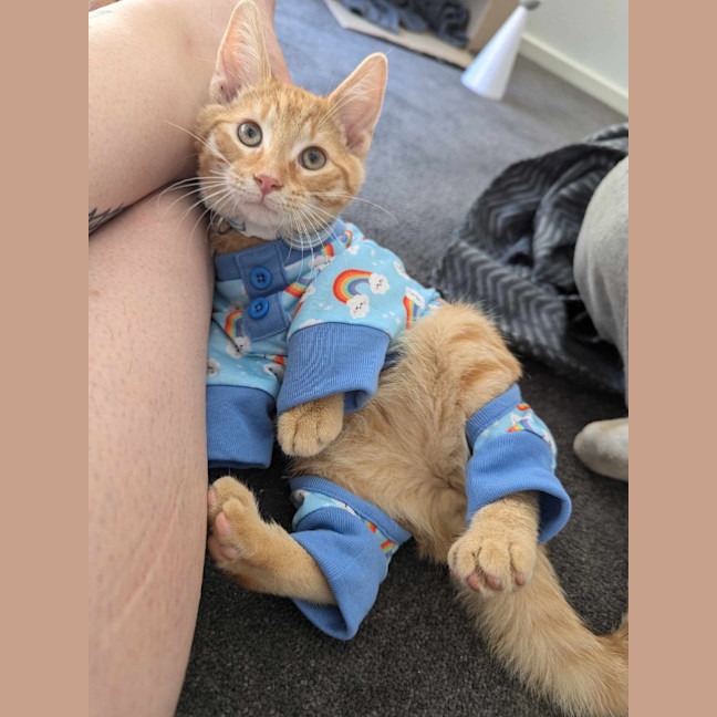 Photo of Flame