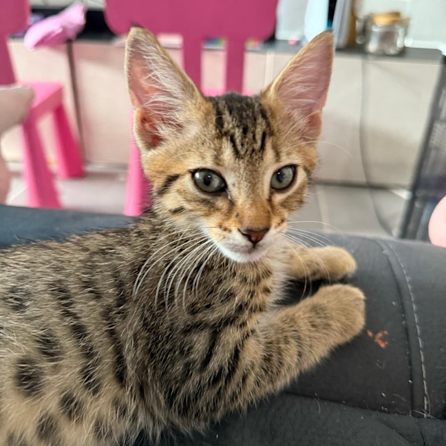 Photo of Billie 🍓