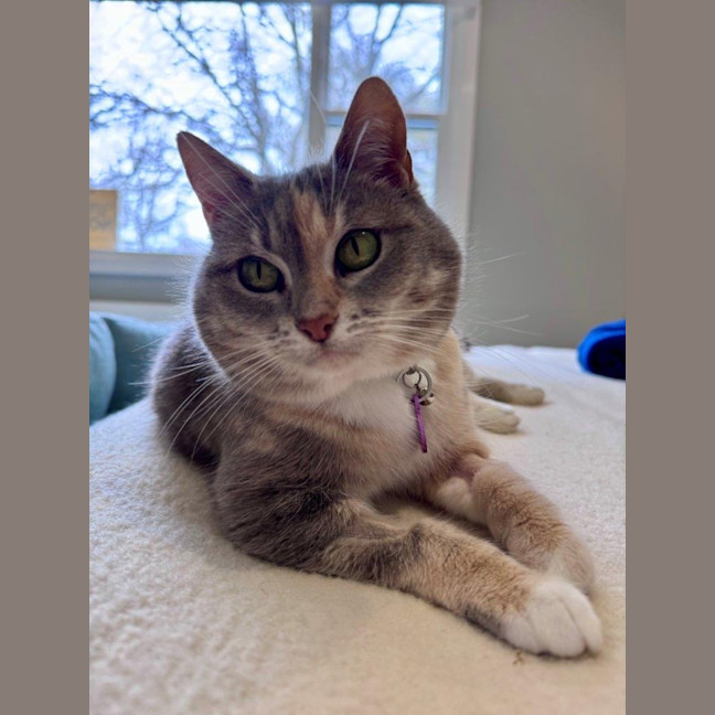 Photo of Susan Uffelman