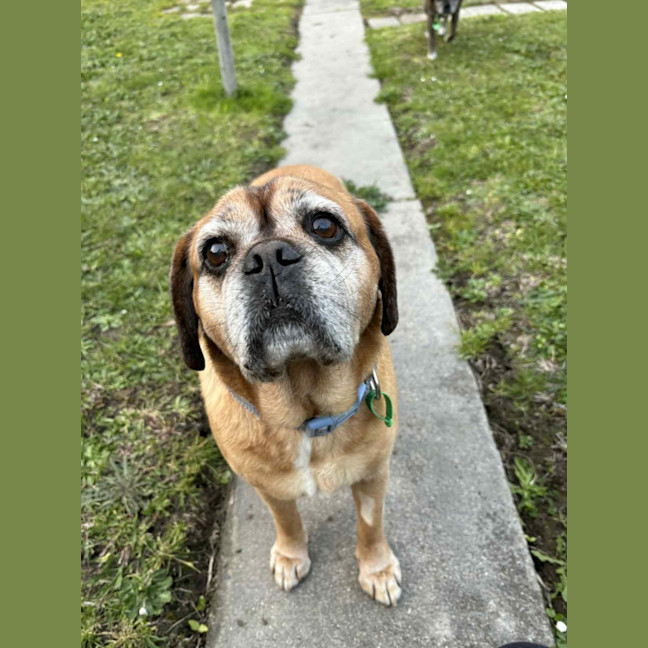 Photo of Covah And Teddy