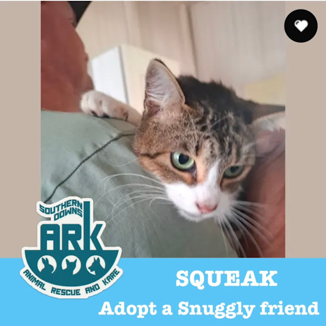 Photo of Squeak