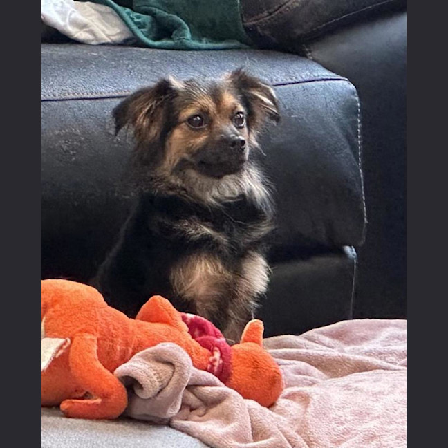 Photo of Princess
