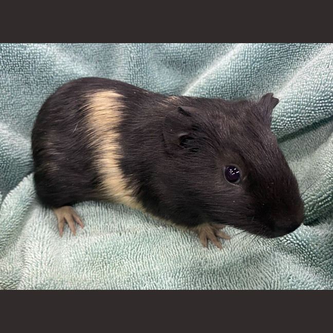 Photo of Edward