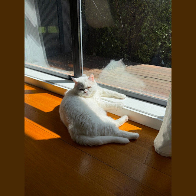 Photo of Yuki