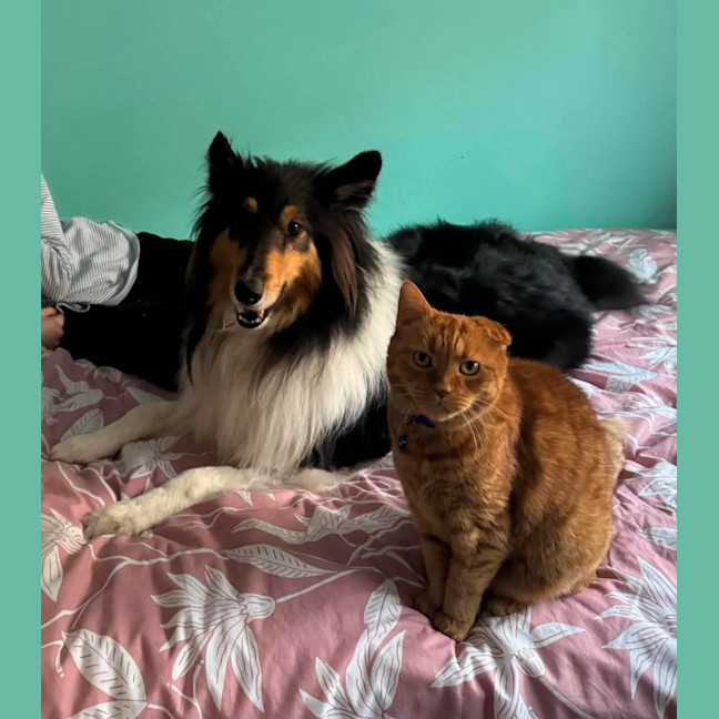 Photo of Odin
