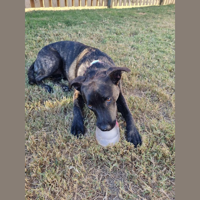Photo of Maisey