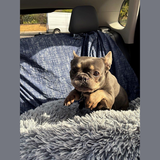 Photo of Lily Tamblyn