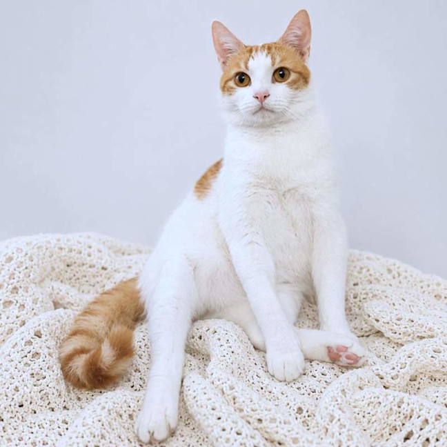 Photo of Clive