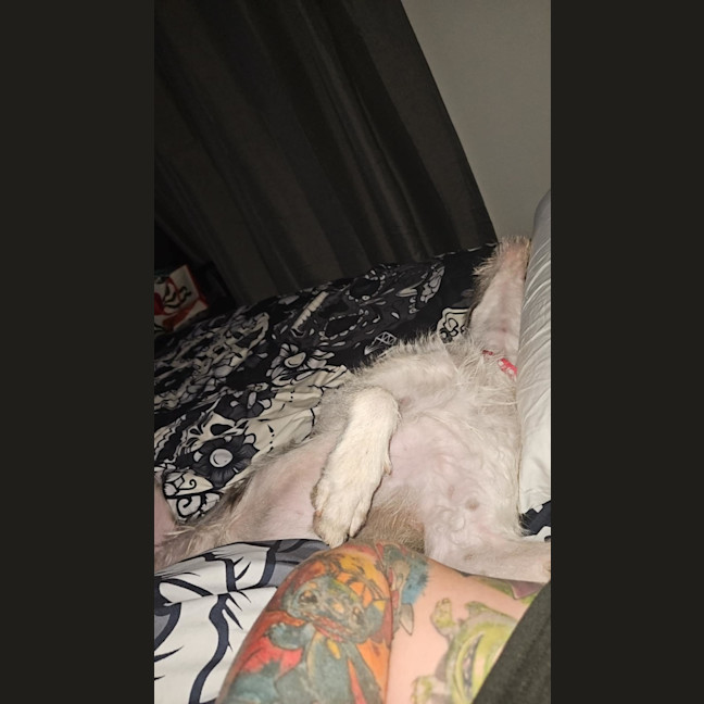 Photo of Mae