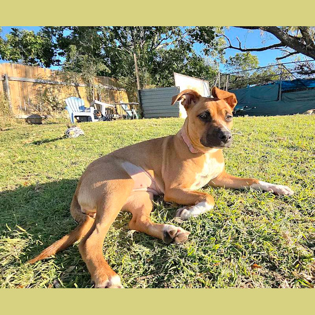 Photo of Delta