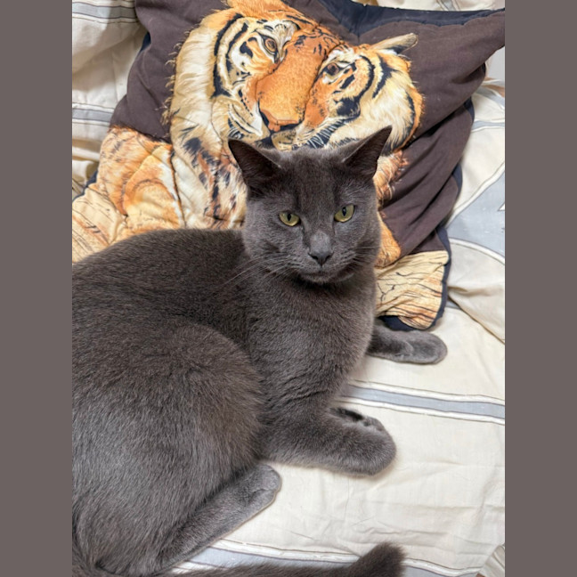 Photo of Luen (9019)