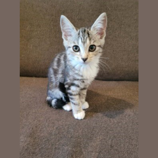 Photo of Mildred