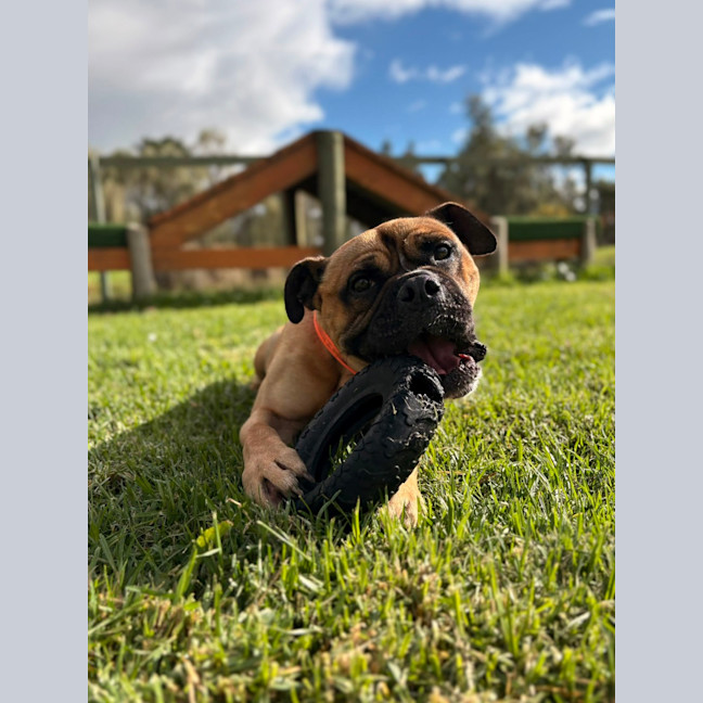 Photo of Leroy