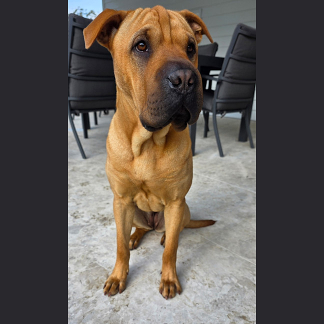 Photo of Wilma