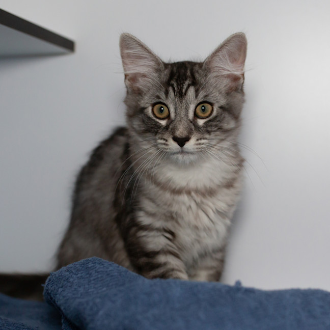 Photo of Leo