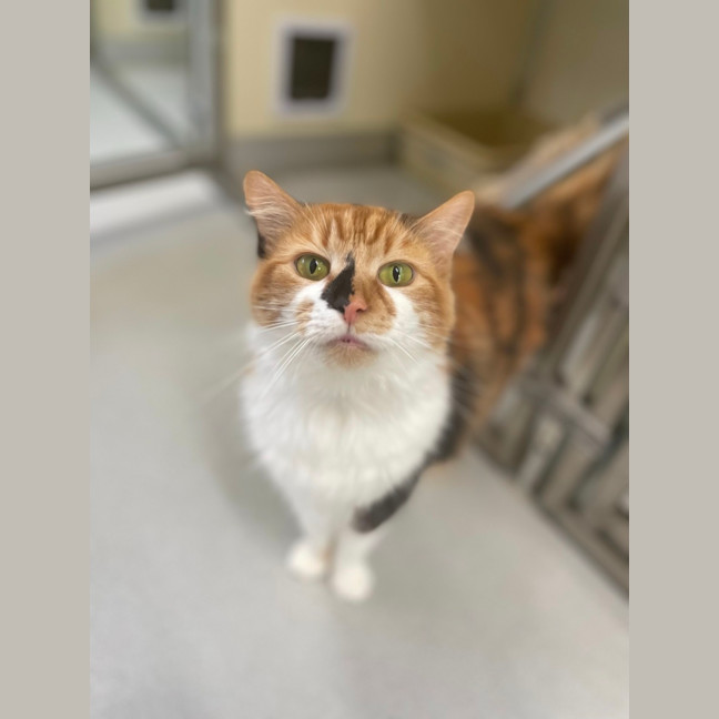 Photo of 🥂 Clicquot 5748 🥂