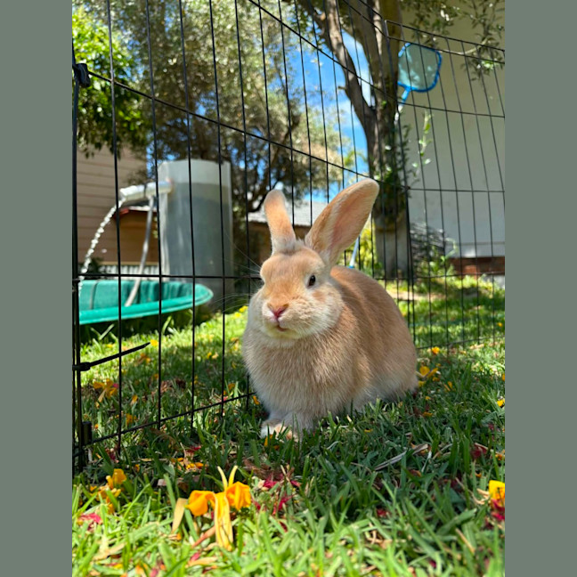 Photo of Jinny