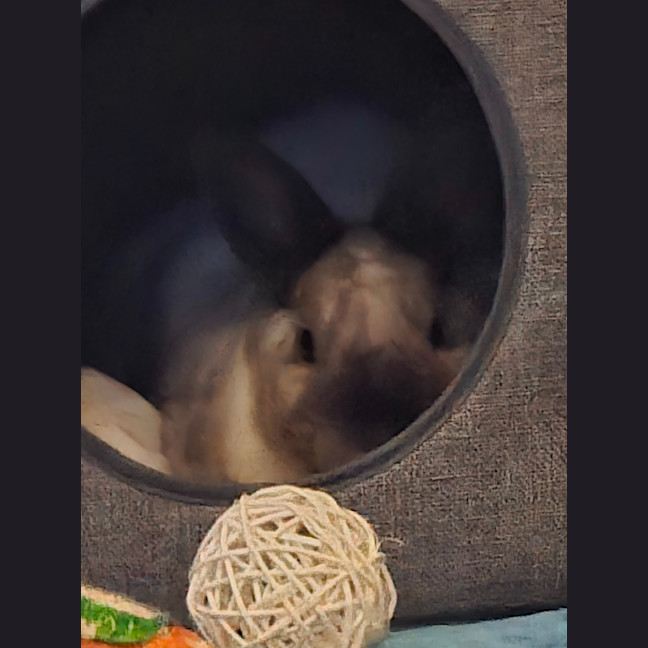Photo of Evie