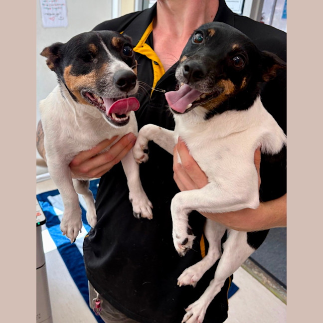 Photo of Jimmy + Sonny