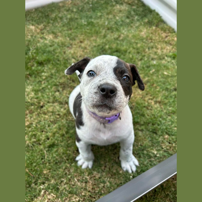Photo of Sasha