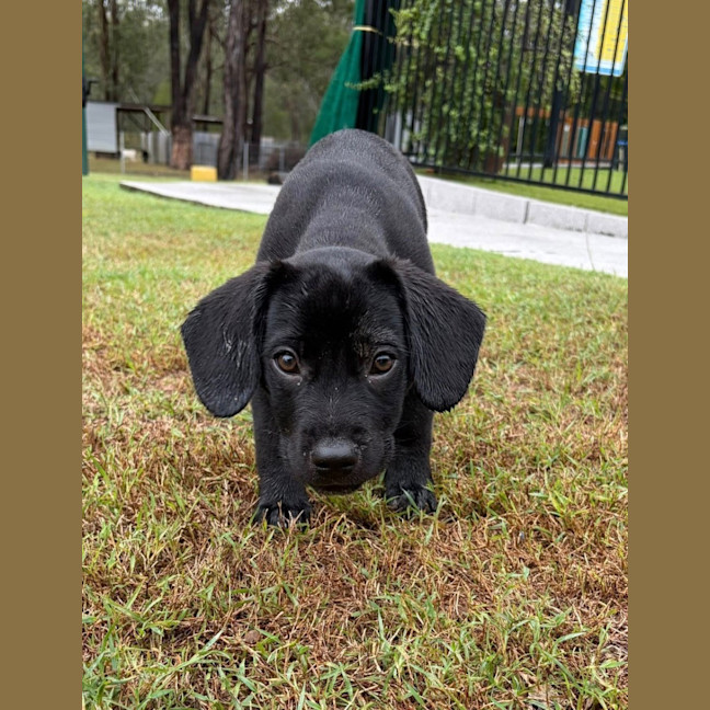 Photo of Tank