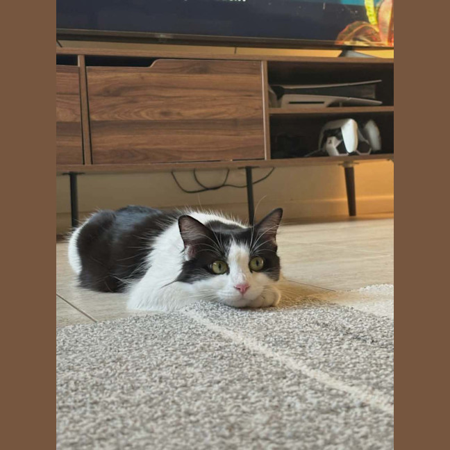 Photo of Daisy