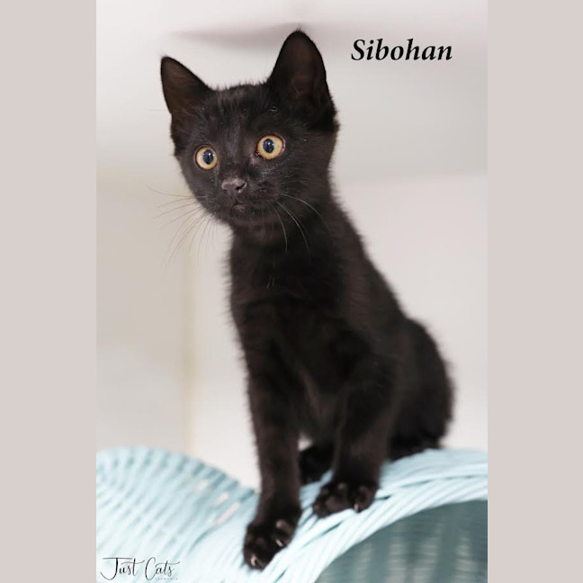 Photo of Siobhan