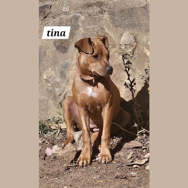 Photo of Tina