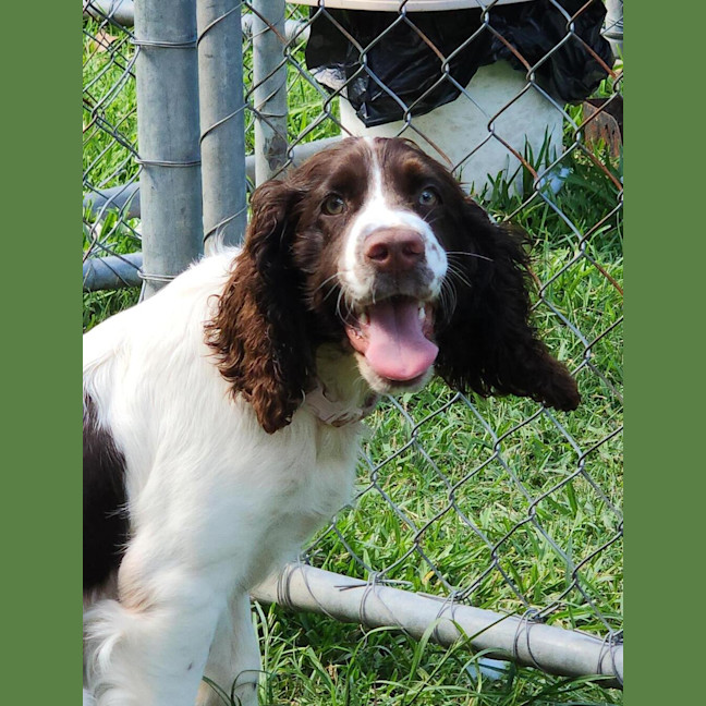 Photo of Molly