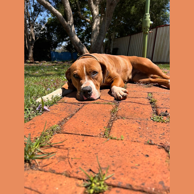 Photo of Misty