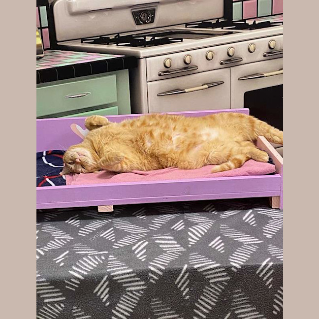 Photo of Bert