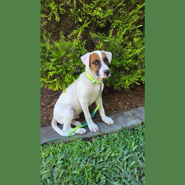 Photo of Asher