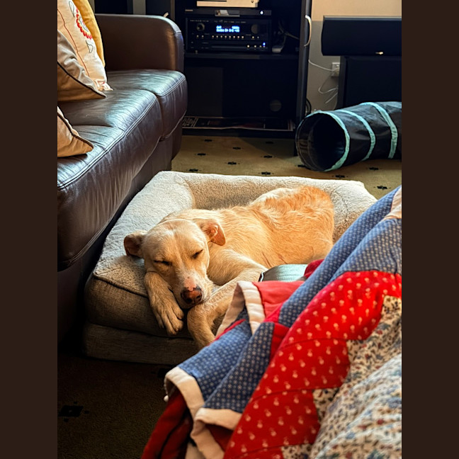 Photo of Dolly Pawton