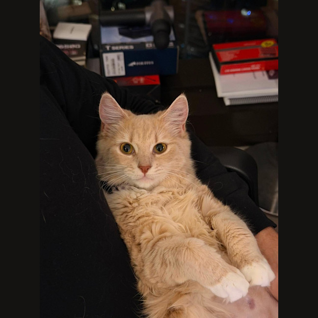 Photo of Sage