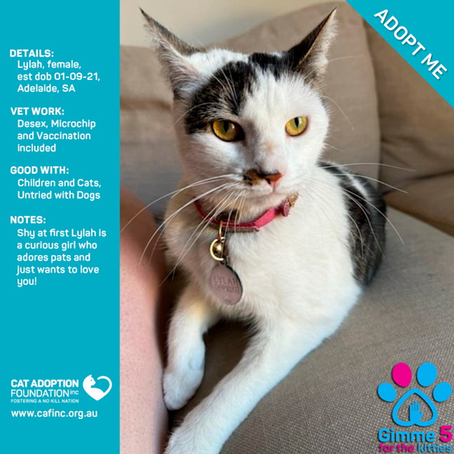 Photo of Lylah Only $40 Limited Time!