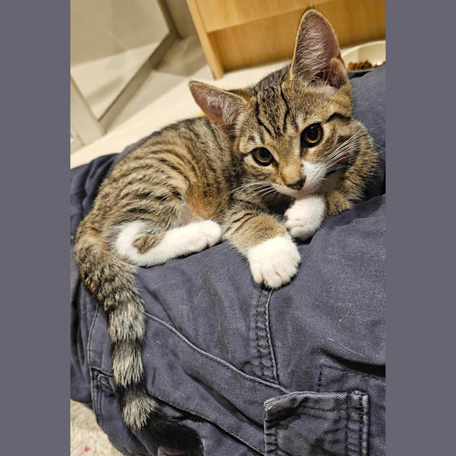 Photo of Tilly