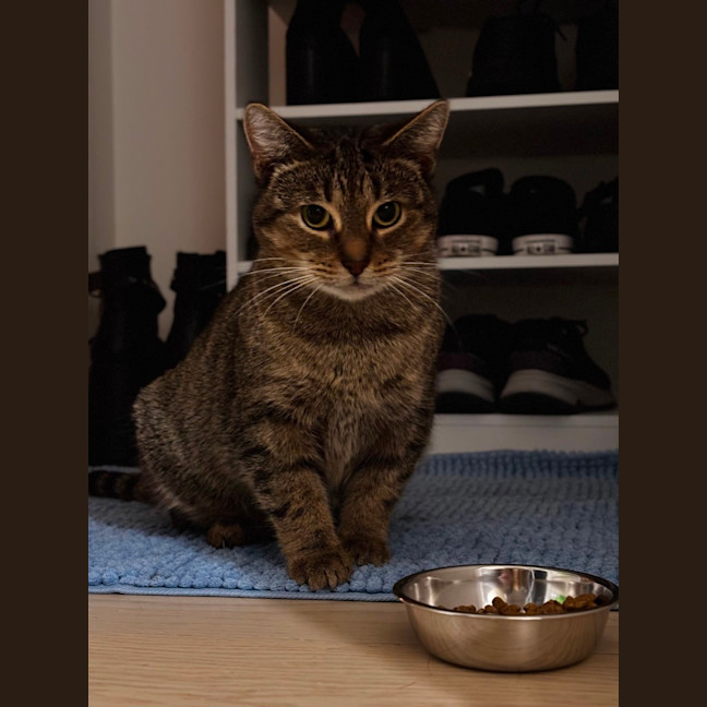 Photo of Cleo
