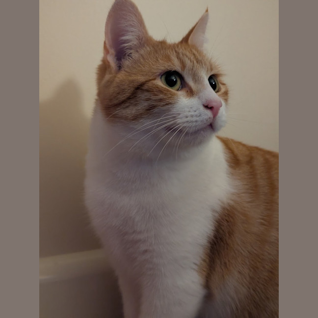 Photo of Charlie 