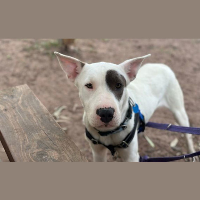 Photo of Winnie
