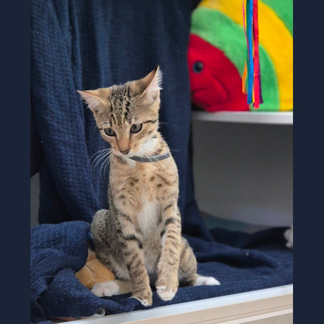 Photo of Molly (8980)