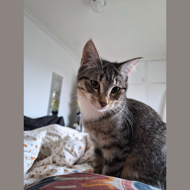 Photo of Francesca