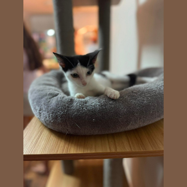 Photo of Mary