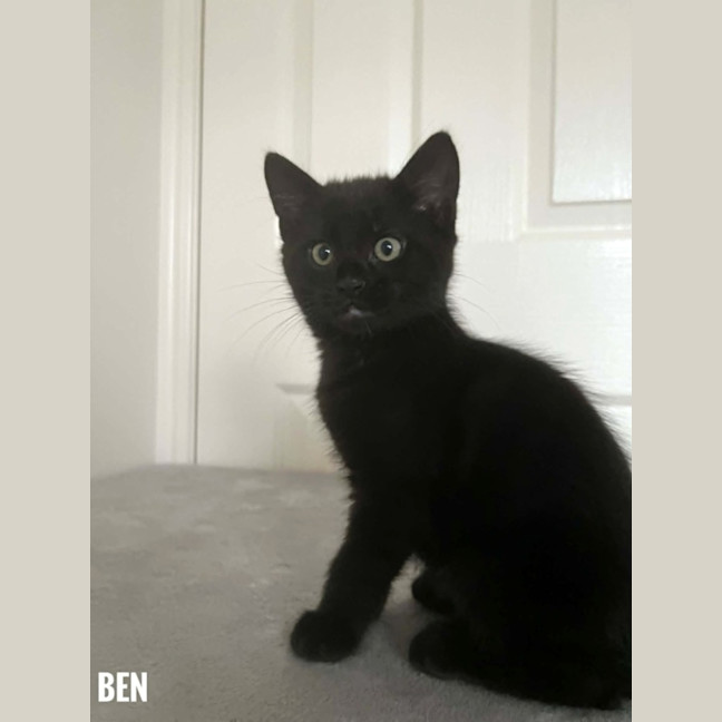 Photo of Ben