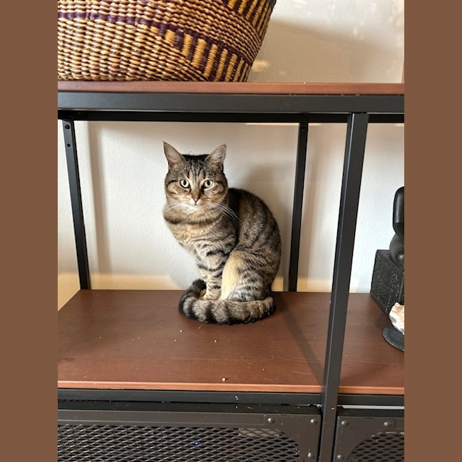 Photo of Charlie