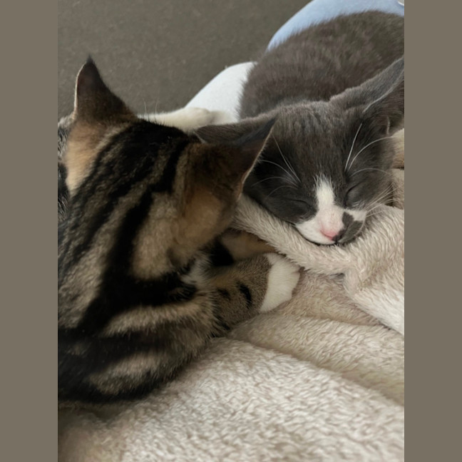 Photo of Chunk & Cheek