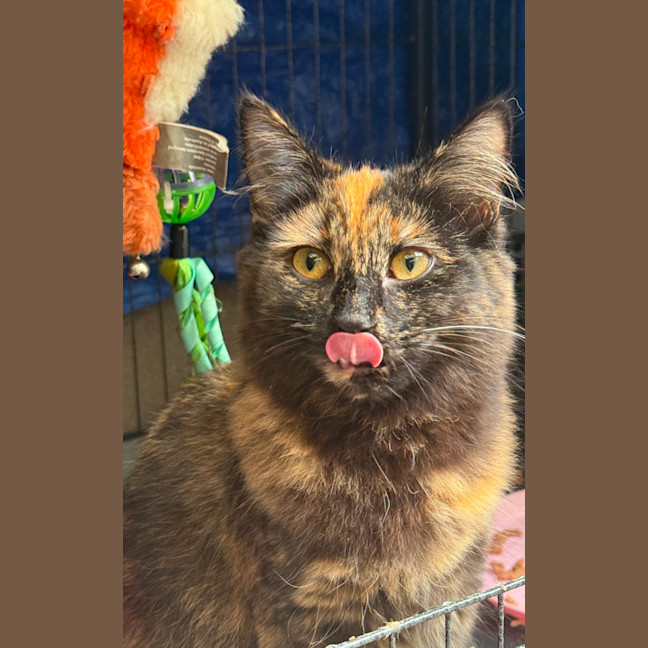 Photo of Lilith